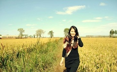 隔壁邻居波多野结衣在线播放